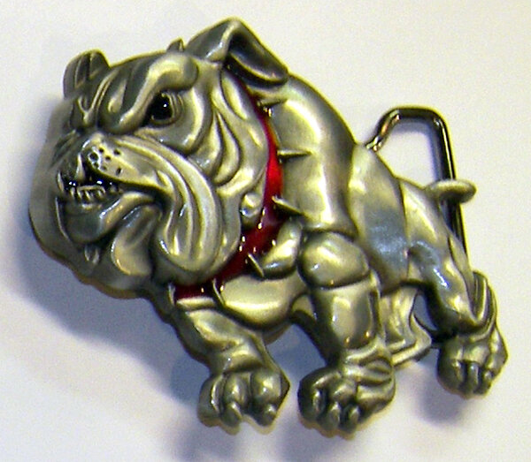 HEBILLA BULLDOG 1